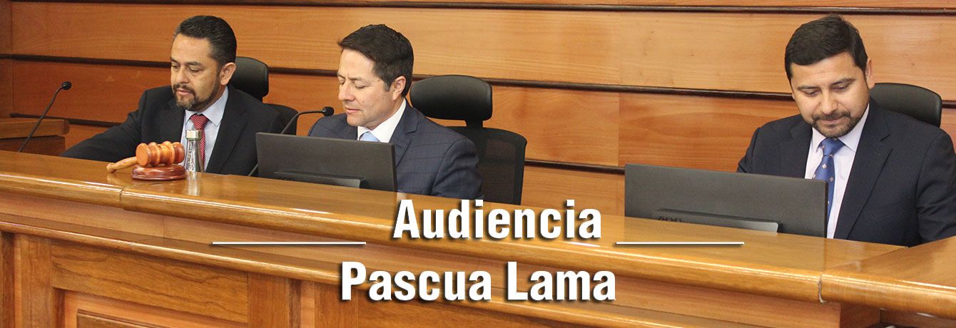 Ante el 1TA se realizan alegatos por Pascua Lama