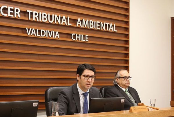 Ministro Fabrizio Queirolo Participó En Audiencia De Conciliación De Tribunal Ambiental De Valdivia