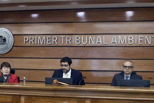 D-3-2019 "Consejo de Defensa del Estado con Compañía Minera Nevada SpA