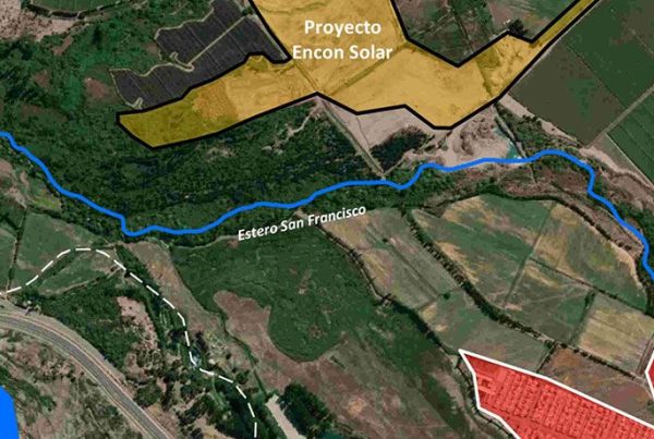 Primer Tribunal Ambiental realizará visita inspectiva a zona de influencia del Proyecto Fotovoltaico Encon Solar de San Felipe