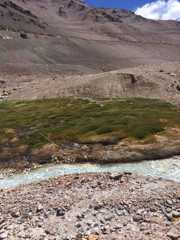 1TA dicta sentencia en caso SQM Puquíos del Salar de Llamara