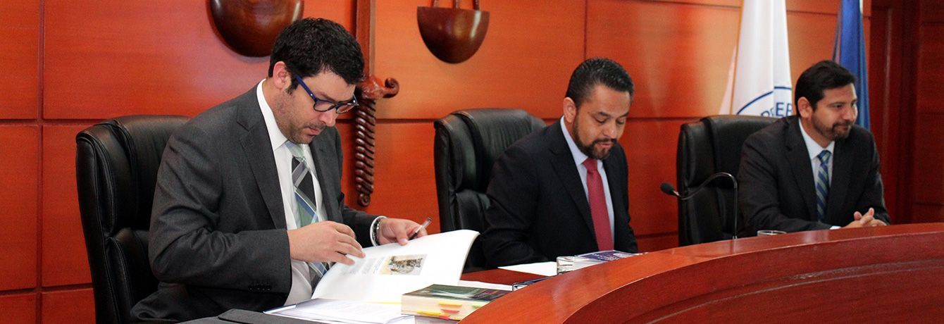 Audiencia-AG-Agricola-Huasco-SEA-4