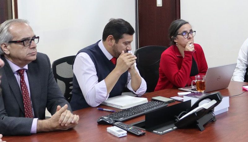 Comité Científico se reúne con investigadora experta en Salud Pública y Epidemiología Ambiental