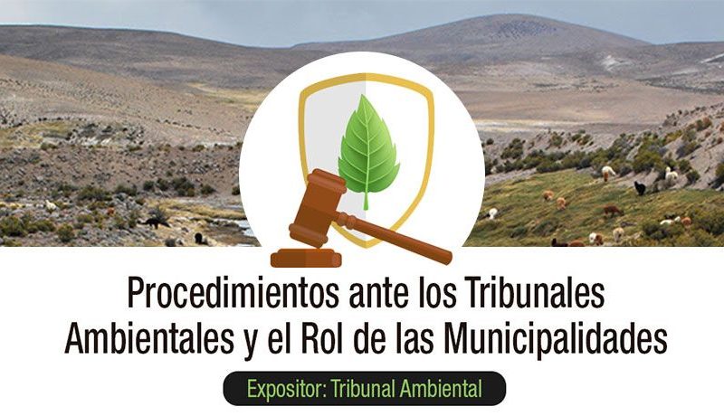 Municipios de Región de Arica-Parinacota serán capacitados por el Primer Tribunal Ambiental
