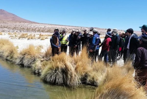 Ministro y equipo del Primer Tribunal Ambiental realizan visita inspectiva a Minera Collahuasi