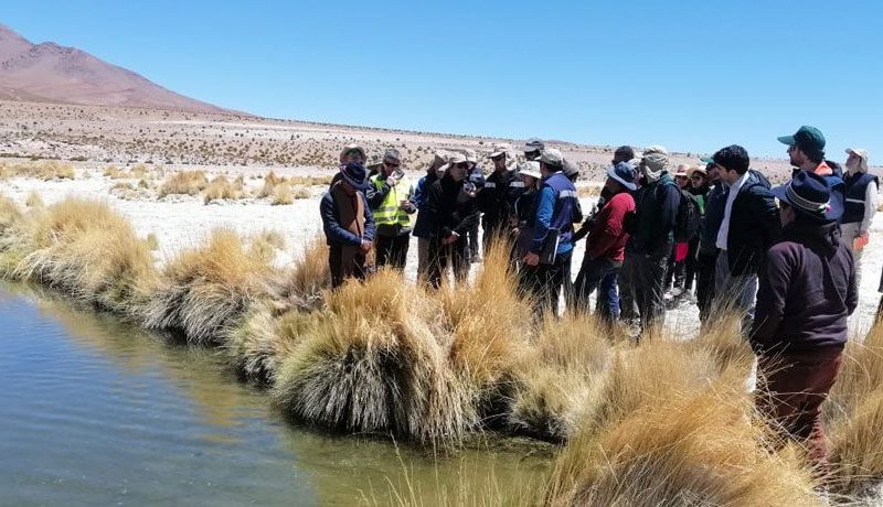 Ministro y equipo del Primer Tribunal Ambiental realizan visita inspectiva a Minera Collahuasi