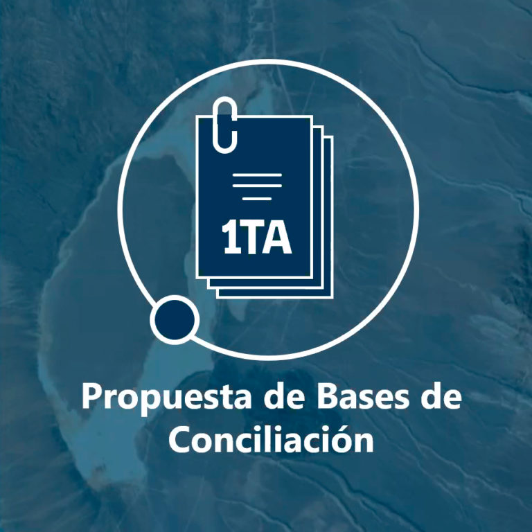 Tribunal presenta bases de conciliación en causa de demanda por daño ambiental del Consejo de Defensa del Estado contra Minera Escondida