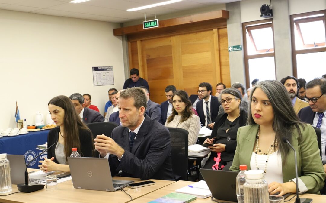  Primer Tribunal Ambiental deja en acuerdo la causa Dominga