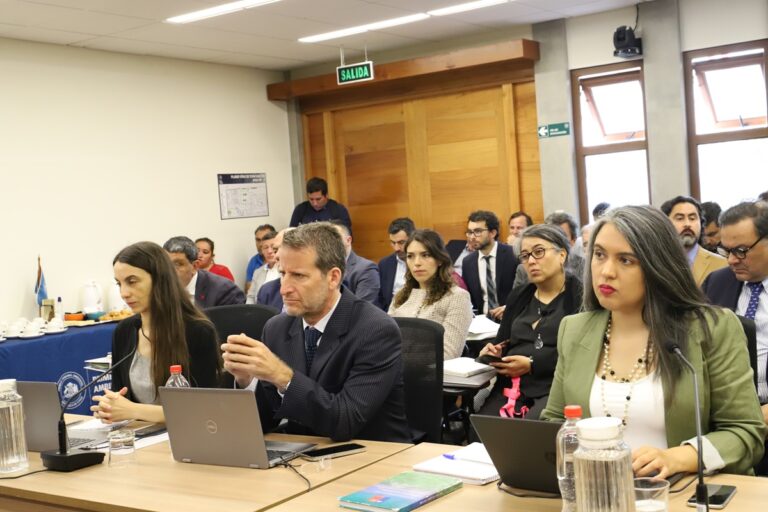  Primer Tribunal Ambiental deja en acuerdo la causa Dominga