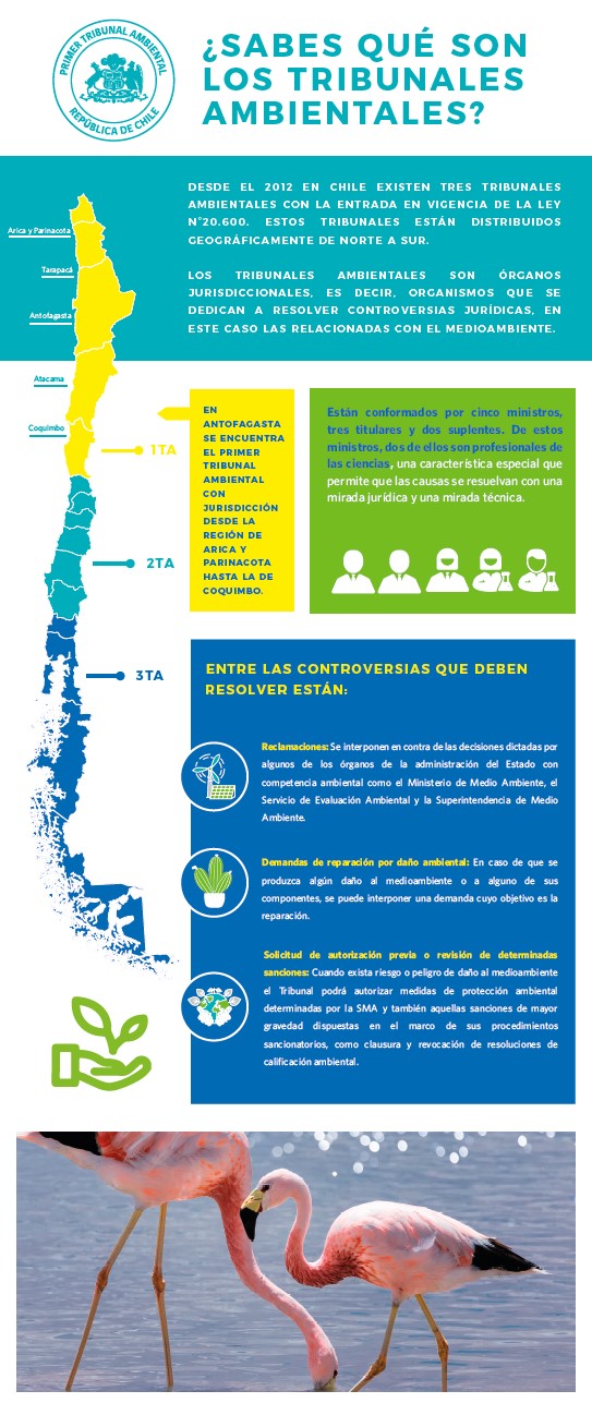 ¿Qué son los Tribunales Ambientales?