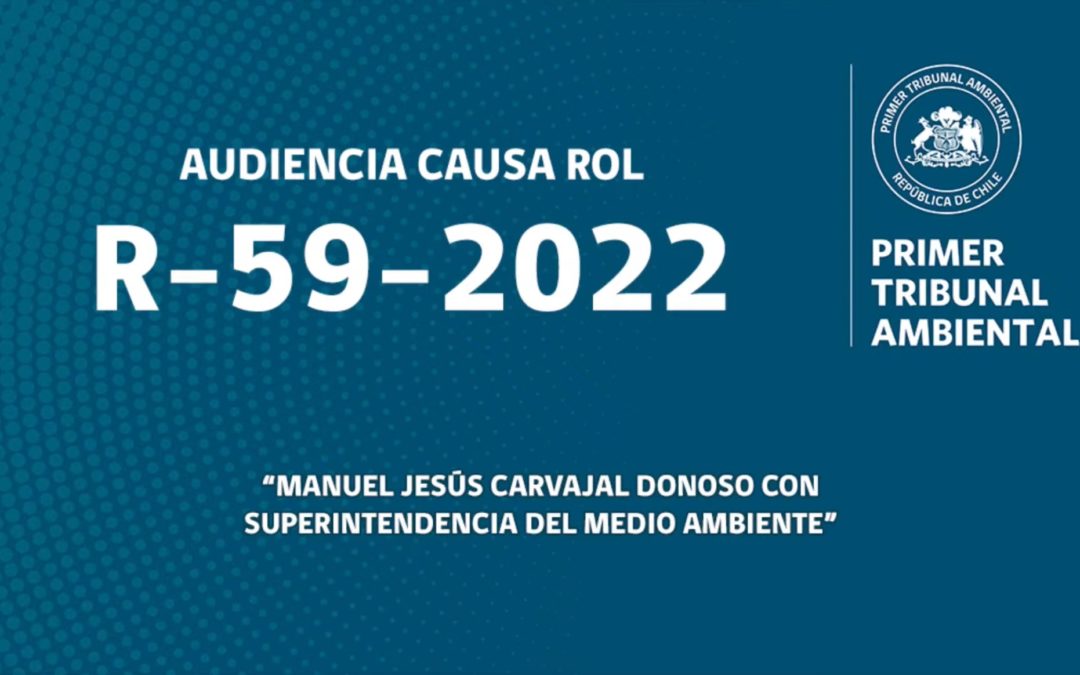 R-59-2022: «Manuel Jesús Carvajal Donoso con Superintendencia del Medio Ambiente»