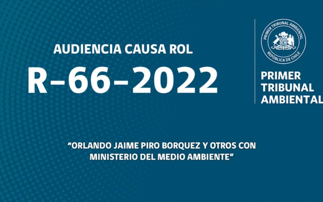 R-66-2022: «Orlando Jaime Piro Borquez y otros con Ministerio del Medio Ambiente»