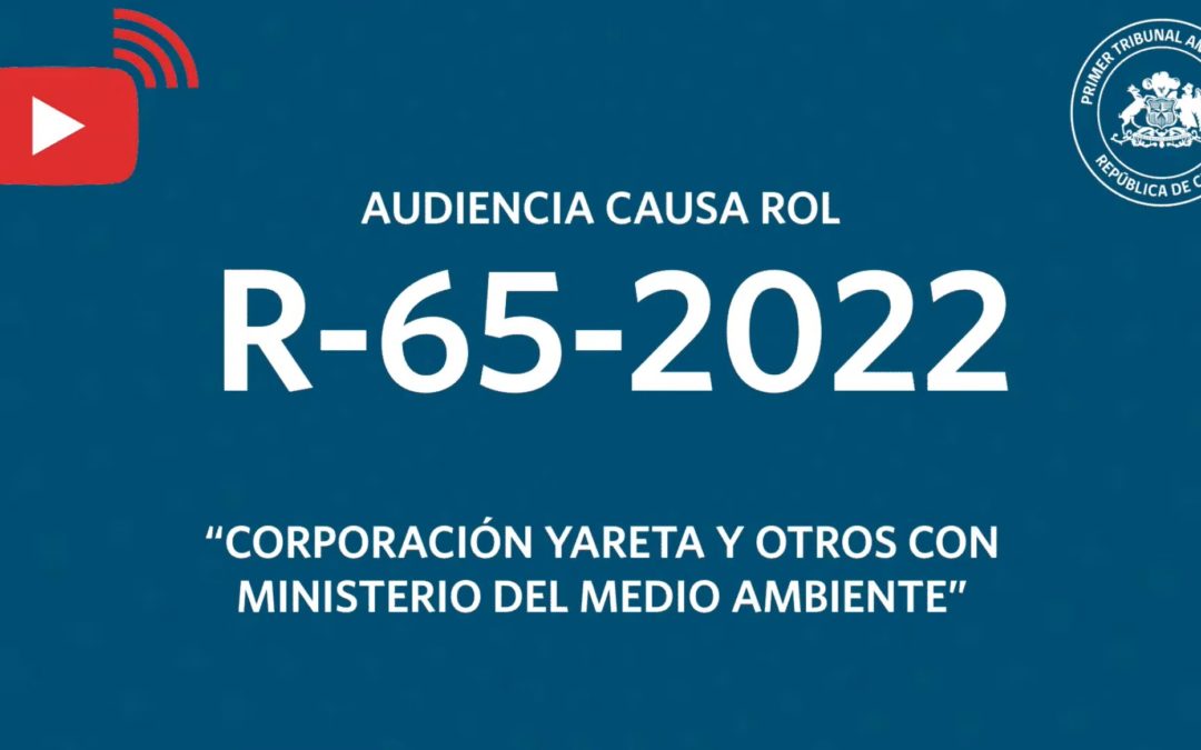 R-65-2022: «Corporación Yareta y otros con Ministerio del Medio Ambiente»