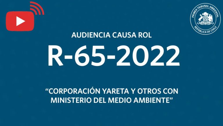 R-65-2022: «Corporación Yareta y otros con Ministerio del Medio Ambiente»