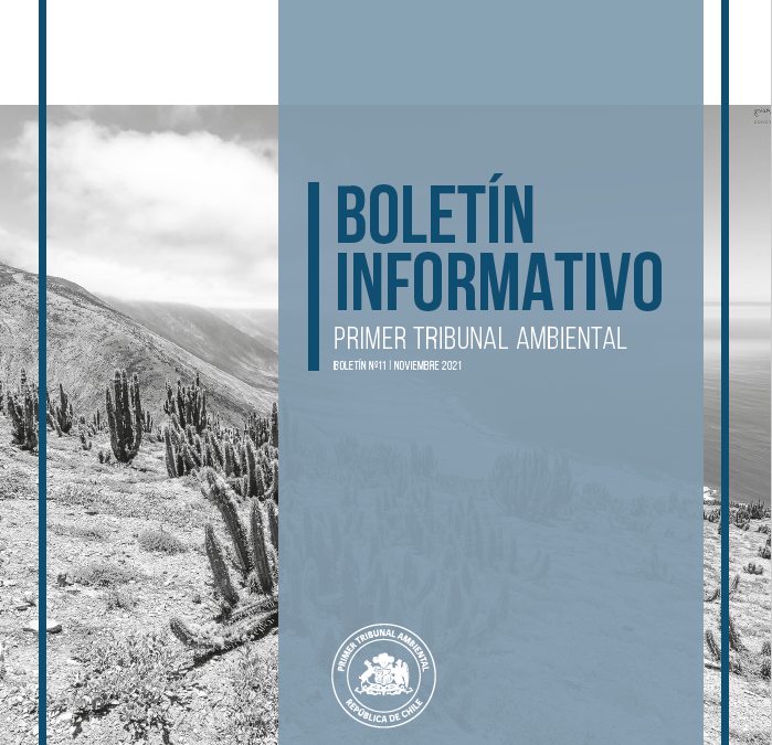 Boletín N°11 noviembre 2021