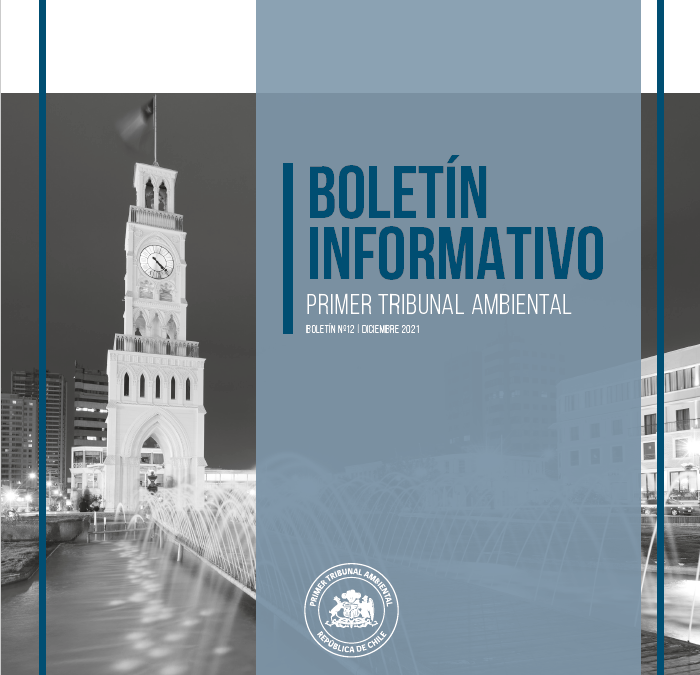 Boletín N°12 diciembre 2021