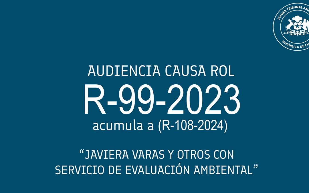 Audiencia de alegatos de Javiera Varas y otros con el Servicio de Evaluación Ambiental