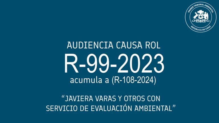 Audiencia de alegatos de Javiera Varas y otros con el Servicio de Evaluación Ambiental