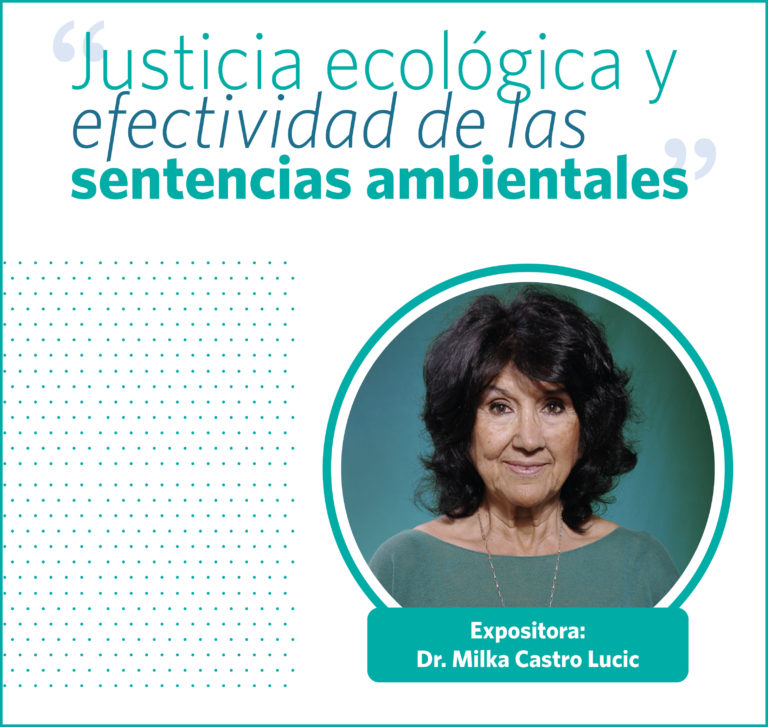 Ministros y equipo del Primer Tribunal Ambiental inician curso de especialización en Derechos Indígenas