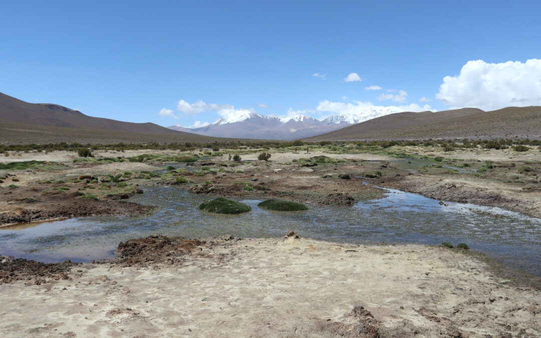 Primer Tribunal Ambiental aprueba conciliación en la demanda por daño ambiental en contra de Cia. Minera Cerro Colorado