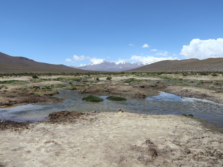 Primer Tribunal Ambiental aprueba conciliación en la demanda por daño ambiental en contra de Cia. Minera Cerro Colorado