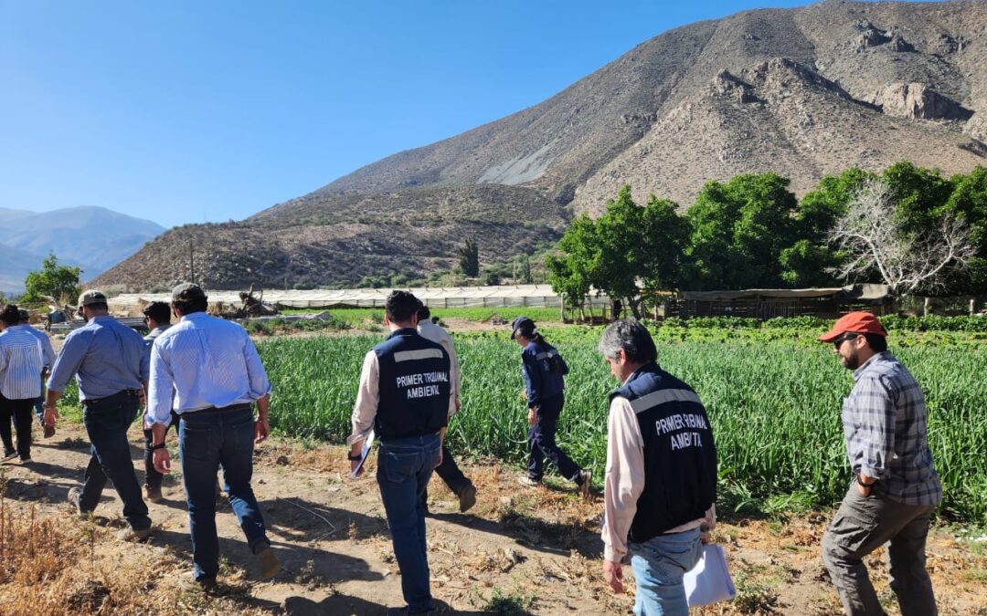 Ministros del Primer Tribunal Ambiental recorren 22 puntos de minera Los Pelambres y de Cuncumén para determinar eventual daño al medioambiente