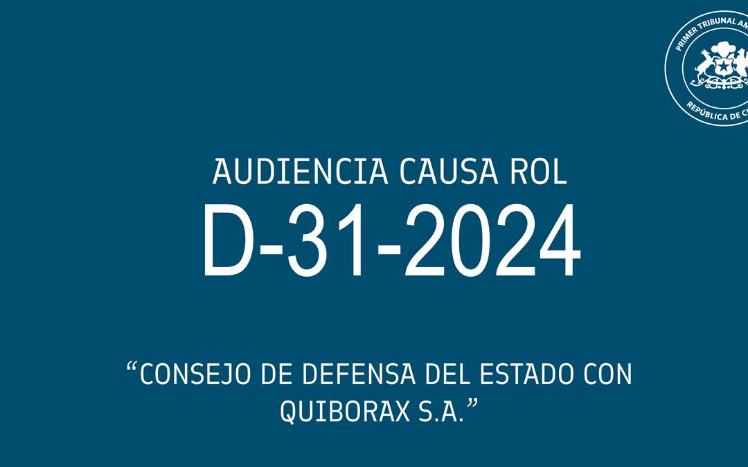 Audiencia de revisión de medida cautelar impuesta a empresa Quiborax