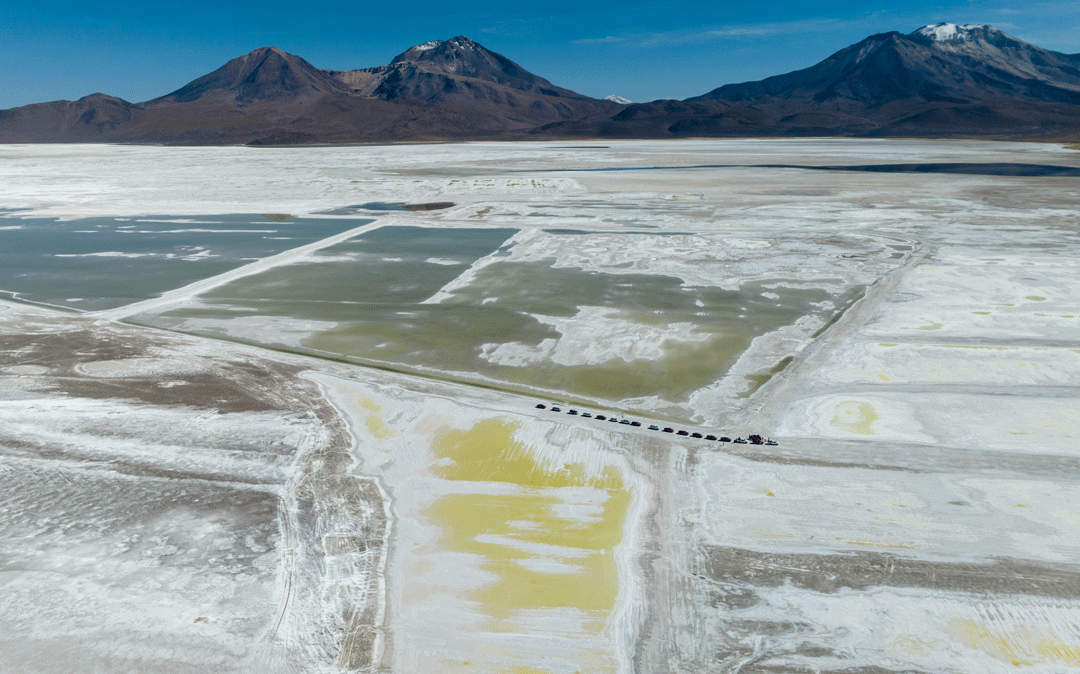 Primer Tribunal Ambiental revisará medida cautelar de paralización de las operaciones de la empresa Quiborax en el Salar de Surire