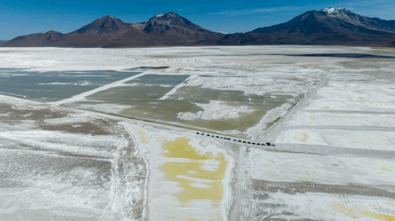 Primer Tribunal Ambiental revisará medida cautelar de paralización de las operaciones de la empresa Quiborax en el Salar de Surire