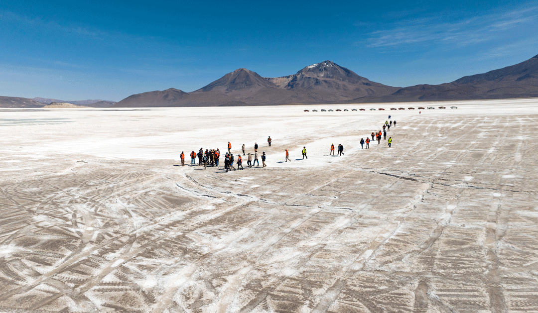 Ministros del Primer Tribunal Ambiental recorrieron Salar de Surire por un posible daño ambiental