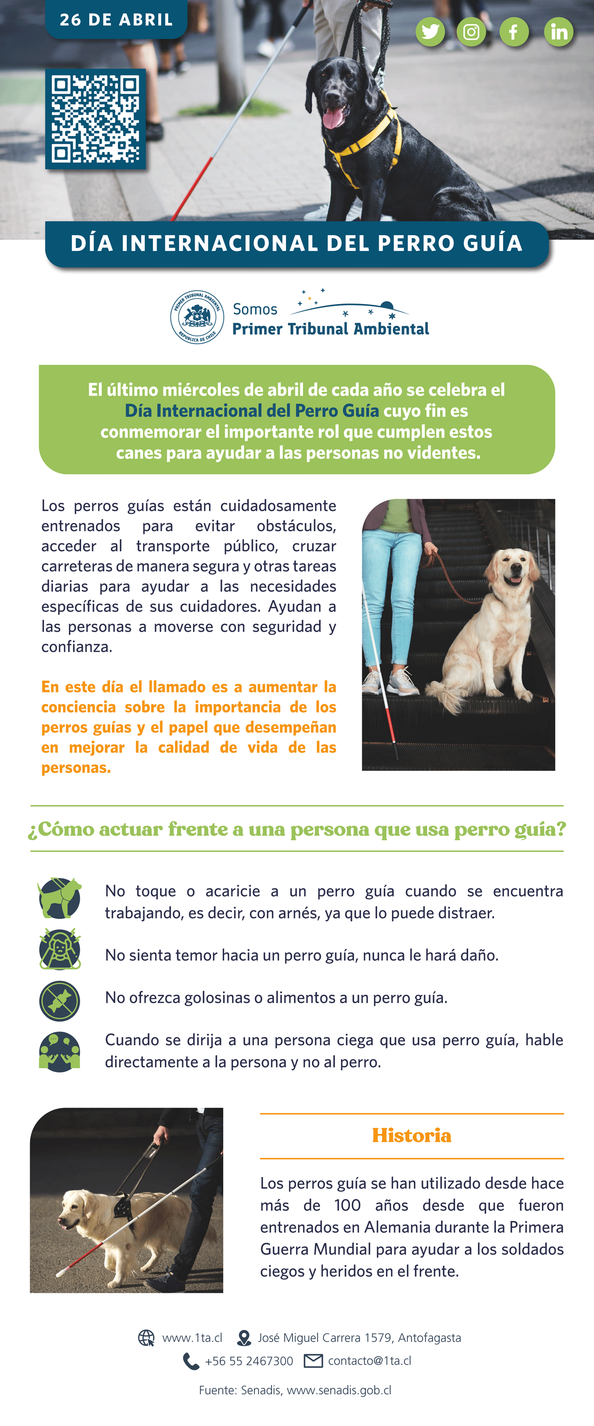 Día Internacional del Perro Guía