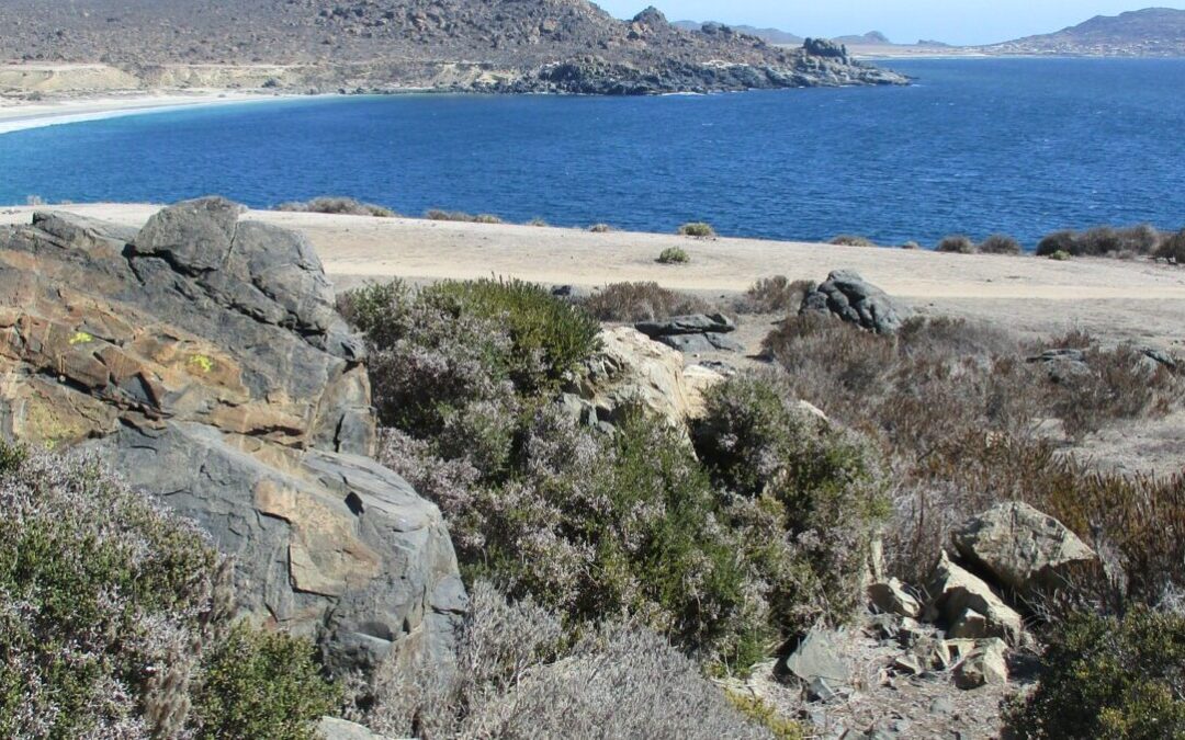 Pescadores de caleta Chungungo aseguran que Santuario de la Naturaleza Cruz Grande es ilegal