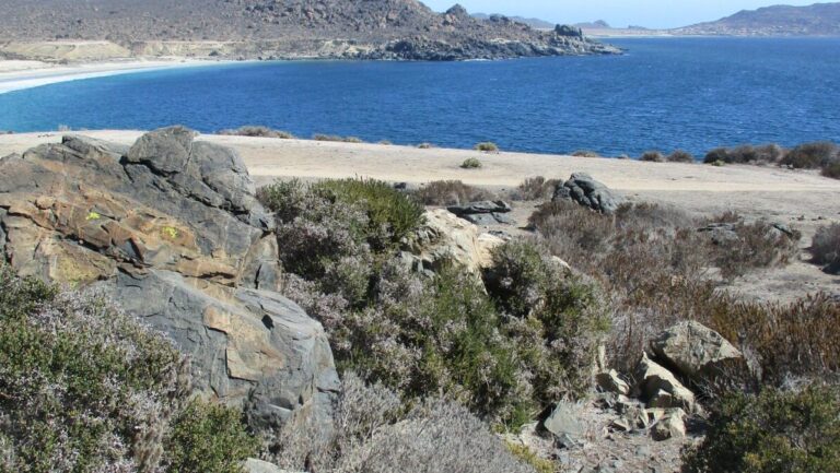 Pescadores de caleta Chungungo aseguran que Santuario de la Naturaleza Cruz Grande es ilegal