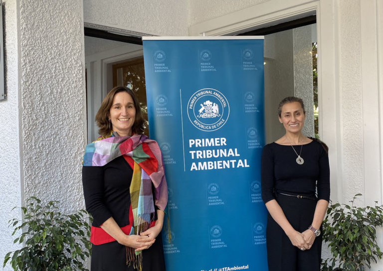 Ministra presidenta del Primer Tribunal Ambiental recibe saludo protocolar de la directora ejecutiva del SEA