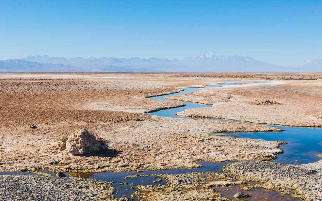 Consejo de Defensa del Estado y Albemarle solicitan presentar propuesta de conciliación en demanda por daño ambiental