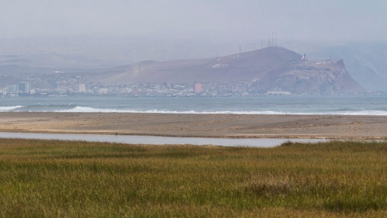 Se admiten a trámite nuevas causas por Declaración de Humedal Urbano de la Desembocadura del Río Lluta