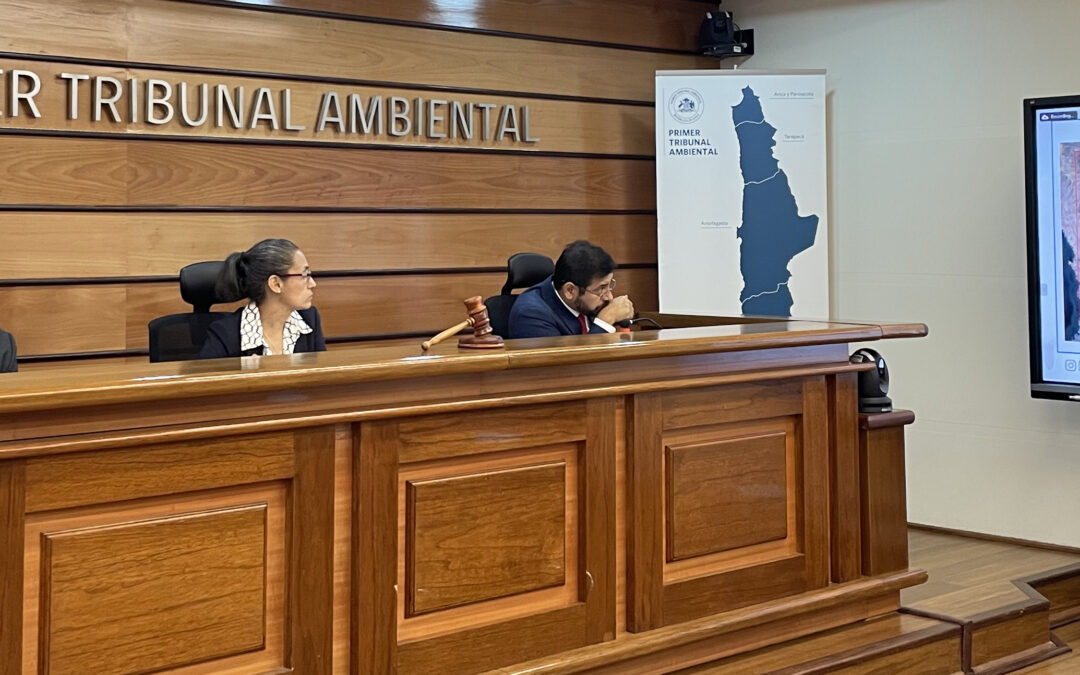 Primer Tribunal Ambiental escuchó los alegatos en reclamación contra autorización dada a “Proyecto Comahue”, cercano a la Chimba