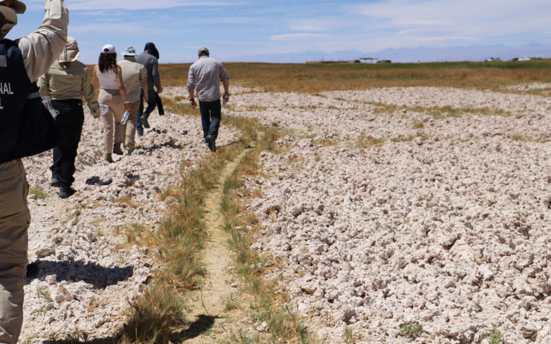 Primer Tribunal Ambiental rechaza reclamación de Minera Escondida y confirma histórica multa por daño ambiental irreparable