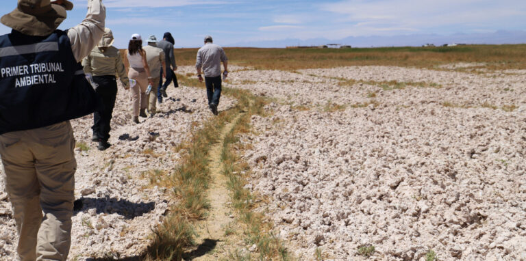 Primer Tribunal Ambiental rechaza reclamación de Minera Escondida y confirma histórica multa por daño ambiental irreparable