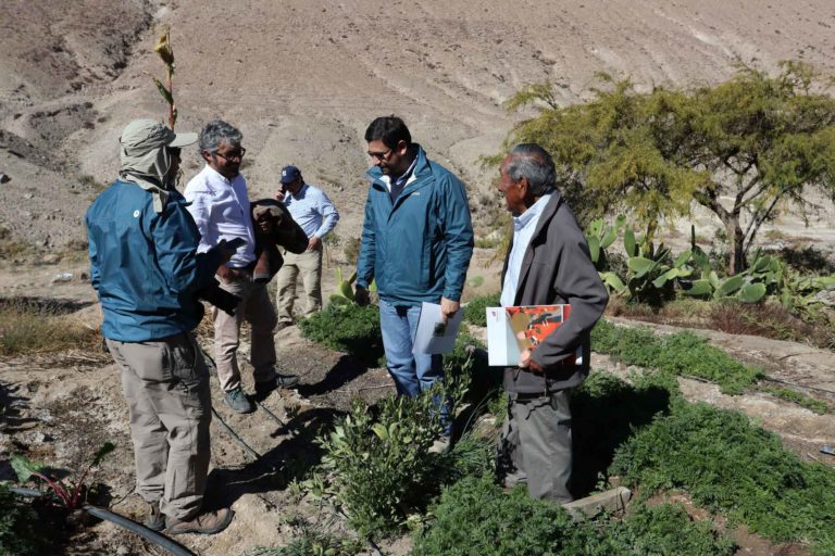 Inspección personal a zona de comunidad de Mamiña