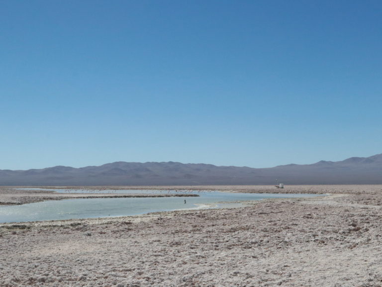 Acuerdo de Conciliación entre Consejo de Defensa del Estado, comunidades indígenas atacameñas y Minera Escondida con foco en la gobernanza socioambiental