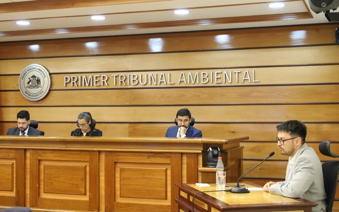 Testigos declararon ante ministros del Primer Tribunal Ambiental por la demanda de daño ambiental poducto del socavón de Tierra Amarilla