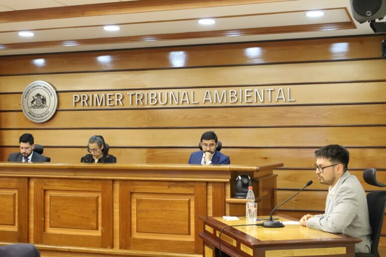 Testigos declararon ante ministros del Primer Tribunal Ambiental por la demanda de daño ambiental poducto del socavón de Tierra Amarilla