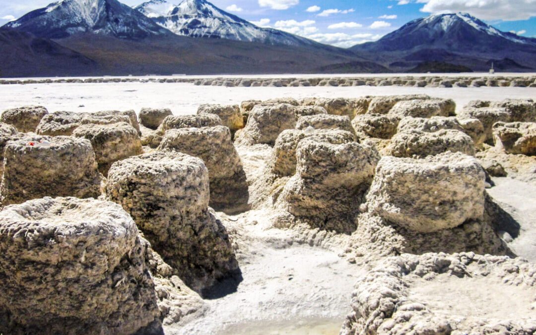 Primer Tribunal Ambiental analizará demanda por daño ambiental en el Salar de Surire