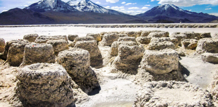 Primer Tribunal Ambiental analizará demanda por daño ambiental en el Salar de Surire