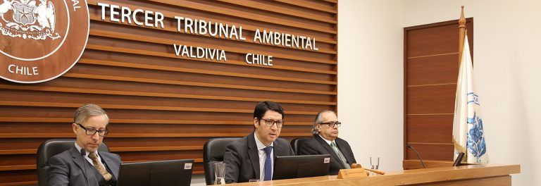 Ministro Fabrizio Queirolo participó en audiencia de conciliación de Tribunal Ambiental de Valdivia