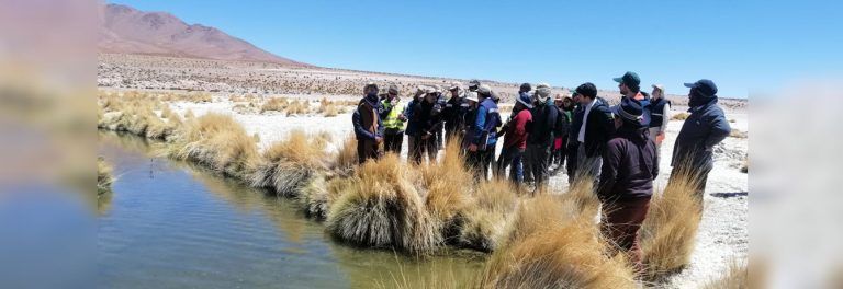 Ministro y equipo del Primer Tribunal Ambiental realizan visita inspectiva a Minera Collahuasi