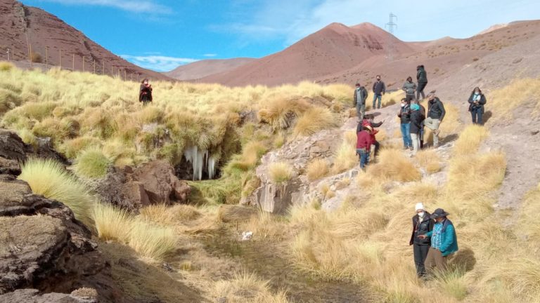 Con diversas consideraciones se aprueba avenimiento en demanda por daño ambiental en contra de Minera Maricunga