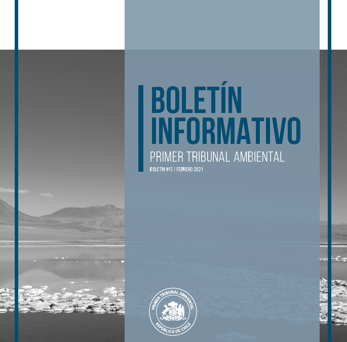 Boletín N°02 febrero 2021