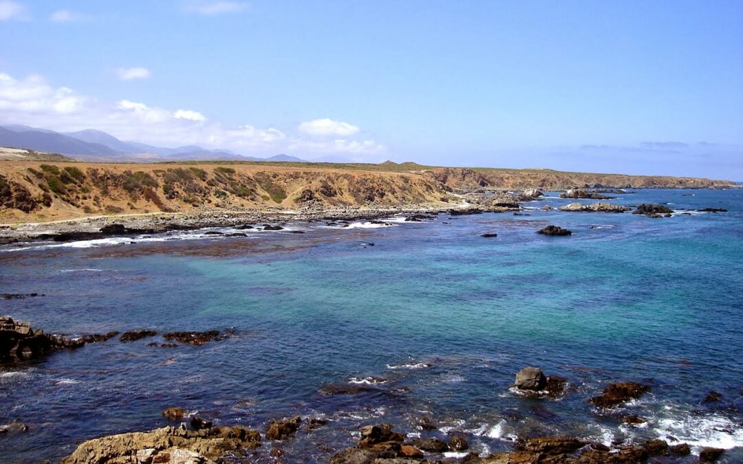 Municipalidad de Los Vilos reclama ante el Primer Tribunal Ambiental para que proyecto de extracción de agua de mar ingrese al SEIA